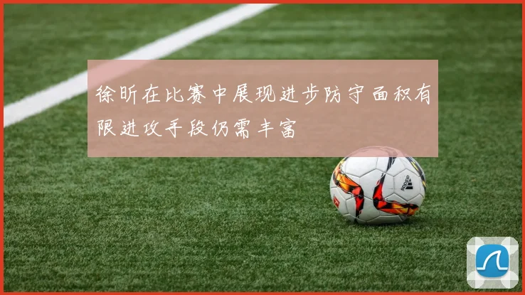 徐昕在比赛中展现进步防守面积有限进攻手段仍需丰富